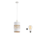 LED-Pendelleuchte an Kabel BOGART 1xE27/15W/230V weiß/gold