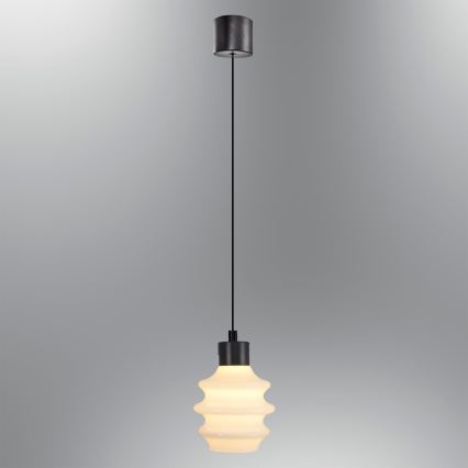 LED-Pendelleuchte an Kabel CACTUS LED/3W/230V 3000K schwarz/weiß