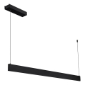 LED-Pendelleuchte an Kabel LINEA LED/36W/230V 3000/4000/5700K CRI 90 schwarz