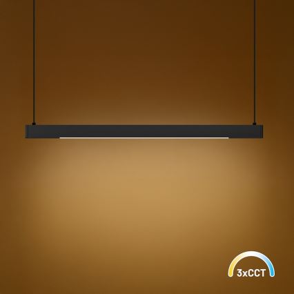 LED-Pendelleuchte an Kabel LINEA LED/36W/230V 3000/4000/5700K CRI 90 schwarz