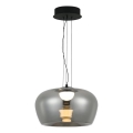 LED-Pendelleuchte an Kabel NADIA LED/20W/230V rauchfarben/schwarz