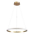 LED-Pendelleuchte an Seil DIANA LED/25W/230V 4000K Ø 50 cm goldfarben
