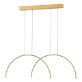 LED-Pendelleuchte an Seil MEGAN LED/39W/230V gold