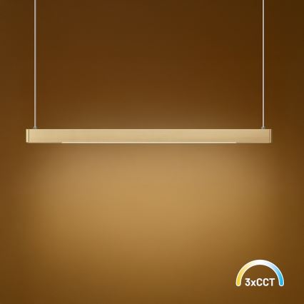 LED-Pendelleuchte an Stahlseil LINEA LED/36W/230V 3000/4000/5700K CRI 90 goldfarben