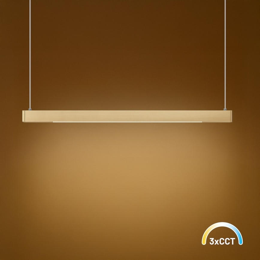 LED-Pendelleuchte an Stahlseil LINEA LED/36W/230V 3000/4000/5700K CRI 90 goldfarben