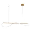 LED-Pendelleuchte an Stahlseil MELECA LED/24W/230V 3000/4000/6000K 100 cm goldfarben