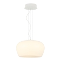 LED-Pendelleuchte an Stahlseil NADIA LED/20W/230V weiß