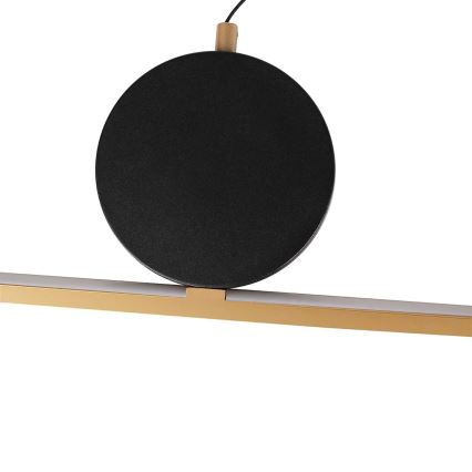 LED-Pendelleuchte mit Kabelaufhängung FLORENTYNA LED/48W/230V 4000K gold/schwarz