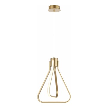 LED-Pendelleuchte mit Kabelaufhängung ZING LED/19W/230V, goldfarben