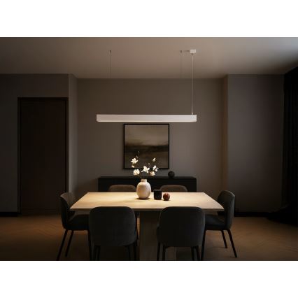LED-Pendelleuchte mit Seilaufhängung LED/55W/230V 3000/4000/6500K 120 cm weiß