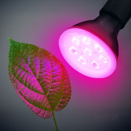 LED Pflanzenlampe PLANTY E27/7W/230V 1200K Schwarz