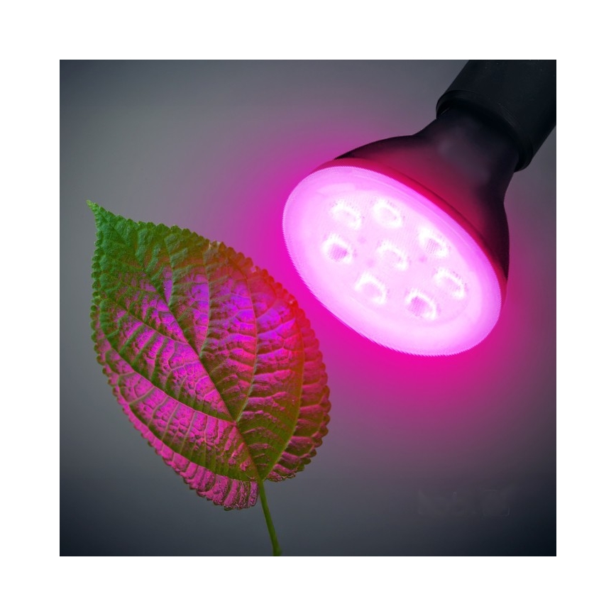 LED Pflanzenlampe PLANTY E27/7W/230V 1200K Schwarz