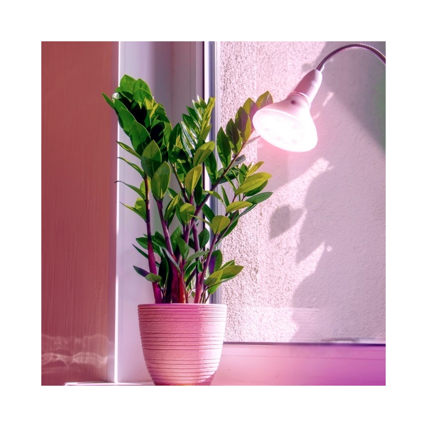 LED Pflanzenlampe PLANTY E27/7W/230V 1200K Weiß