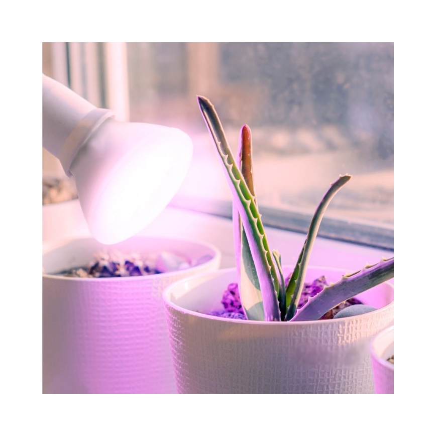LED Pflanzenlampe PLANTY E27/7W/230V 1200K Weiß