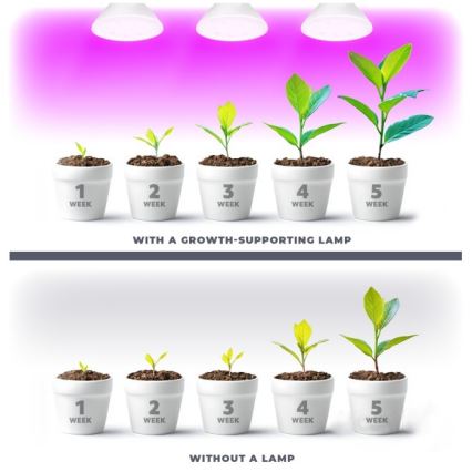 LED Pflanzenlampe PLANTY E27/7W/230V 1200K Weiß