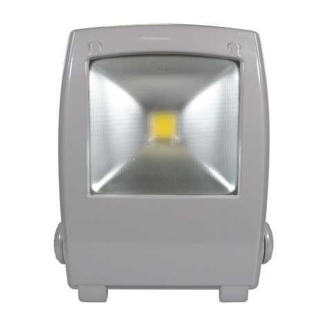 LED-Reflektor FLOOD FE-N LED/30W/230V IP65