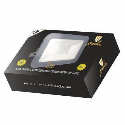 Nedes LF2222 - LED Reflektor LED/20W/230V IP65
