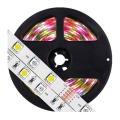 LED RGB Dimmbarer Streifen 5m LED/19W/12V IP65