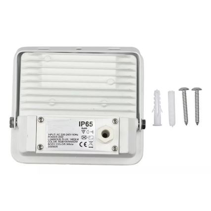 LED-RGB-Flutlicht LED/20W/230V IP65 weiß