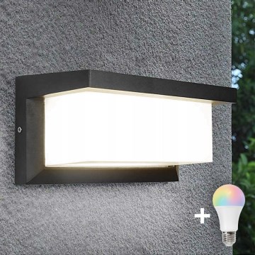 LED RGBW dimmbar Außenwandleuchte NEELY 1xE27/9W/230V 2700-6500K IP54 Wi-Fi Anthrazit