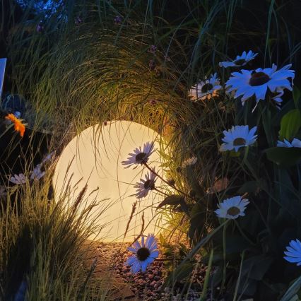 LED RGBW dimmbare Außenleuchte GLOBO 1xE27/9W/230V 2700–6500K Ø 30 cm IP44 Wi‑Fi