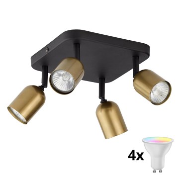LED RGBW dimmbarer Deckenspot TOP 4xGU10/6,5W/230V 2700-6500K gold/schwarz