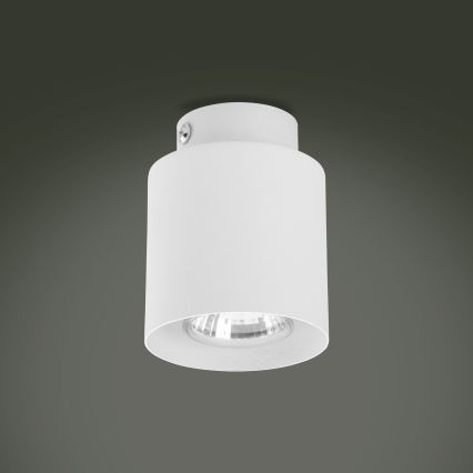 LED RGBW Dimmbarer Einbauspot VICO 1xGU10/6,5W/230V 2700-6500K