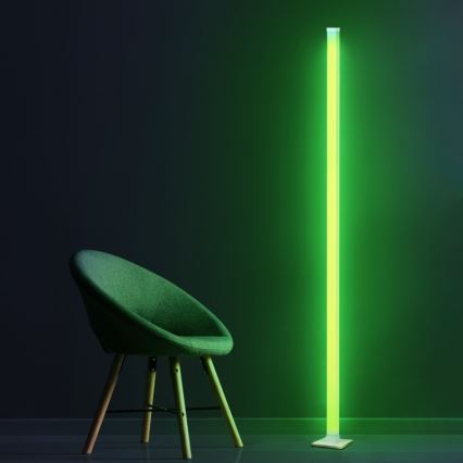 LED RGBW dimmbare Stehlampe MAGICAL LED/7W/230V + Fernbedienung