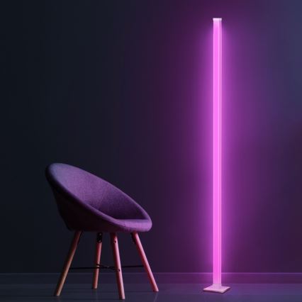 LED RGBW dimmbare Stehlampe MAGICAL LED/7W/230V + Fernbedienung