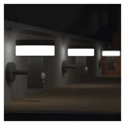 LED Solar-Wandleuchte mit Sensor LED/2W/3,7V 1200 mAh IP44