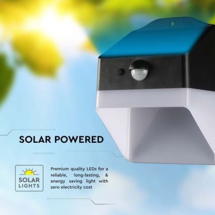 LED Solar-Wandleuchte mit Sensor LED/2W/3,7V 4000K IP65 1200 mAh