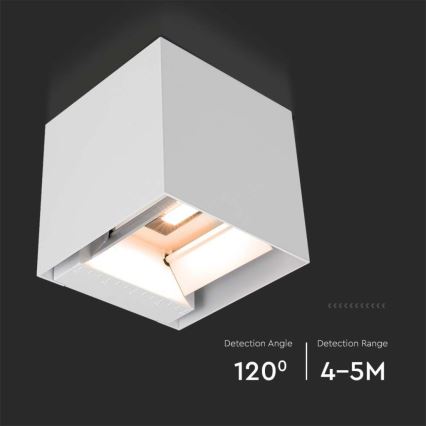 LED Solar-Wandleuchte mit Sensor LED/3W/3,7V IP65 4000K 2600 mAh Weiß