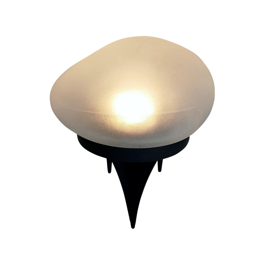 LED-Solarlampe 2xLED/1,2V 300 mAh IP44 schwarz/weiß
