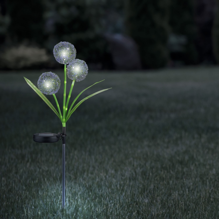 LED-Solarleuchte ALLIUM LED/1,2V 6500K 600 mAh IP44 schwarz