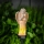 LED-Solarleuchte LED/1,2 V 300 mAh IP44 Engel