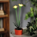LED-Solarleuchte LED/1,2V 200 mAh IP44 Blumenmotiv