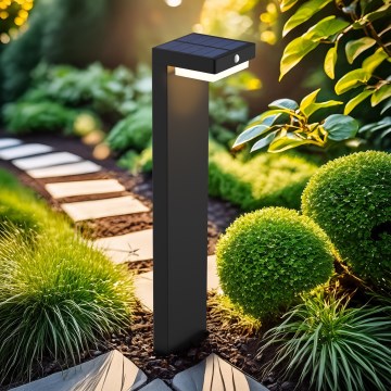 LED-Solarleuchte mit Bewegungs- und Dämmerungssensor PALERMO LED/5W/2000 mAh IP54 schwarz