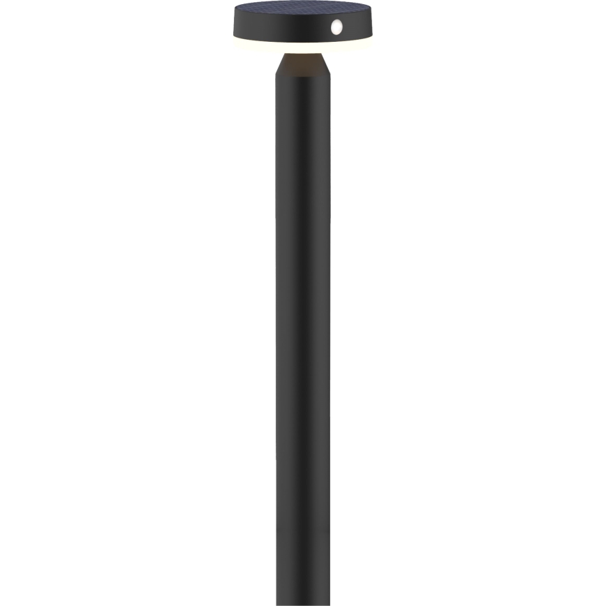 LED-Solarleuchte mit Sensor GWINEA LED/4,5W/3,7V 2000 mAh 50 cm IP44 schwarz