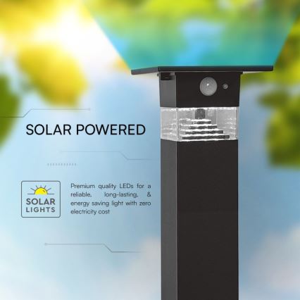 LED-Solarleuchte mit Sensor LED/2,5W/3,7V IP54 3000K 2200 mAh