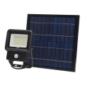 LED Solarleuchte mit Sensor LED/30W/3,7V 6500K IP65 6600 mAh
