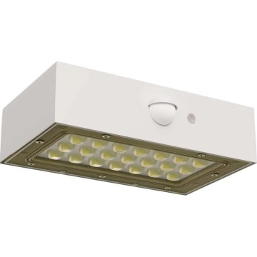 LED-Solarstrahler mit Bewegungssensor LED/3,7V 1200mAh 4000K IP65 weiß