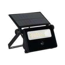 LED-Solarstrahler mit Sensor LED/30W/5,5V IP65
