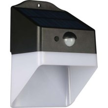 LED-Solarwandleuchte mit Sensor LED/2W/3,7V 4000K IP65