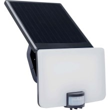LED-Solarwandleuchte mit Sensor LED/8W IP54