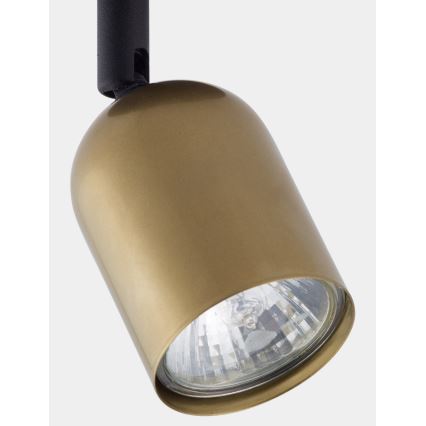 LED-Spot TOP 1xGU10/10W/230V gold/schwarz