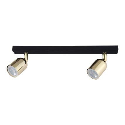 LED-Spot TOP 2xGU10/10W/230V schwarz/gold