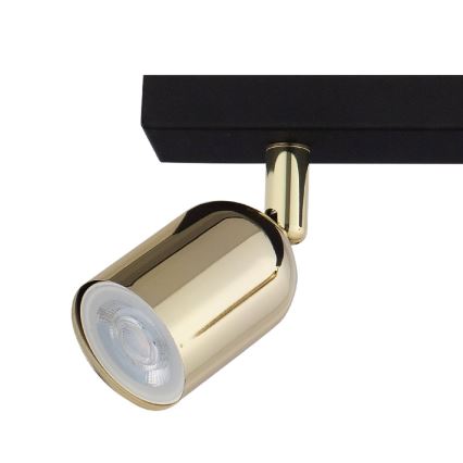 LED-Spot TOP 2xGU10/10W/230V schwarz/gold