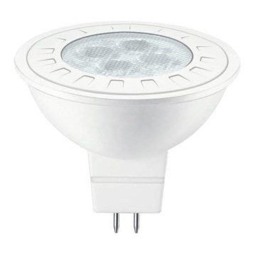 LED Spotleuchte GU5,3/MR16/5,5W/12V - Attralux