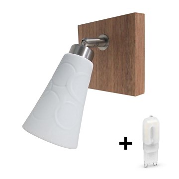 LED Spotlight 1xG9/5W/230V