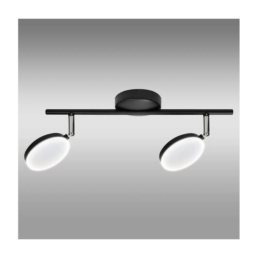 LED Spotlight CAPRI 2xLED/5W/230V